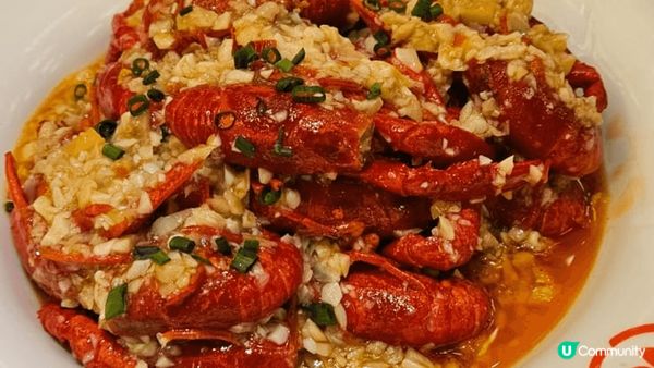 這裡是武漢，有櫻花可以觀賞. 你可以欣賞武漢河的晝夜不同景色...