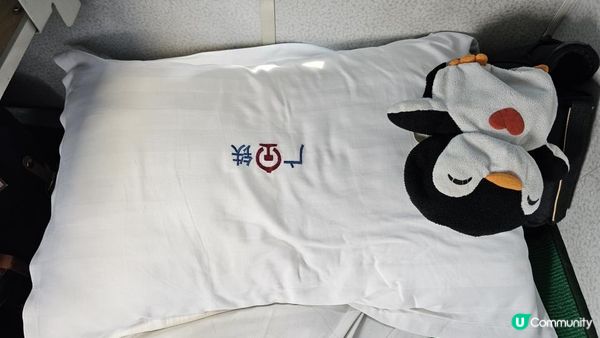 【中國自由行】中俄蒙自由行完結🔥錯過動臥、困在鄭州、跨越6城10站，我們回家了｜Final China Train Chaos: Missed Sleeper, No Way Home