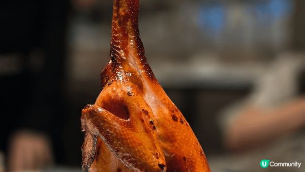 In城市廣場及益田假日廣場、翠湖廣東菜（In城市廣場）、超新...