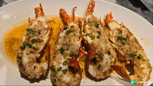 In城市廣場及益田假日廣場、翠湖廣東菜（In城市廣場）、超新...