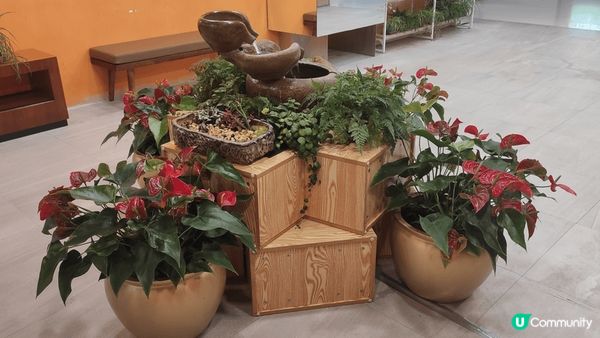 難得之隱世綠洲，長沙灣廣場，可以讓人身心放鬆，睇睇綠色植物，...