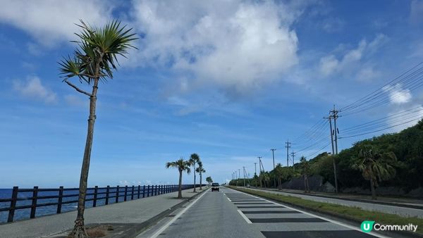 Day 2【沖繩7天自駕遊】美麗海水族館、今歸仁城跡、古宇利大橋南端觀景台、心形岩