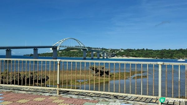 Day 2【沖繩7天自駕遊】美麗海水族館、今歸仁城跡、古宇利大橋南端觀景台、心形岩