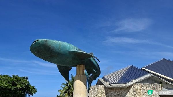 Day 2【沖繩7天自駕遊】美麗海水族館、今歸仁城跡、古宇利大橋南端觀景台、心形岩