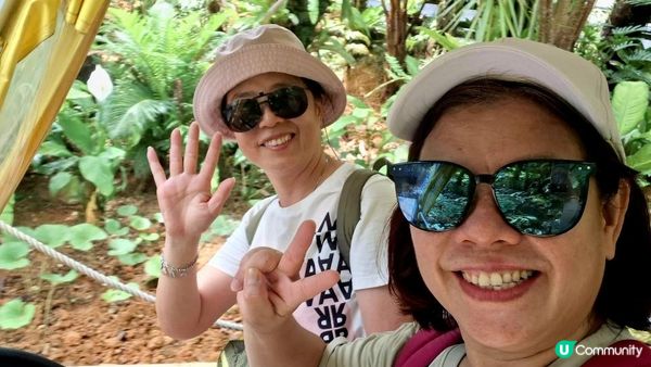 Day 3【沖繩7天自駕遊】名護鳳梨園、部賴名海中公園、萬座毛