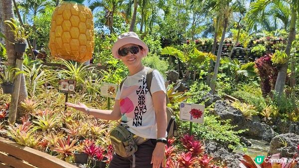 Day 3【沖繩7天自駕遊】名護鳳梨園、部賴名海中公園、萬座毛