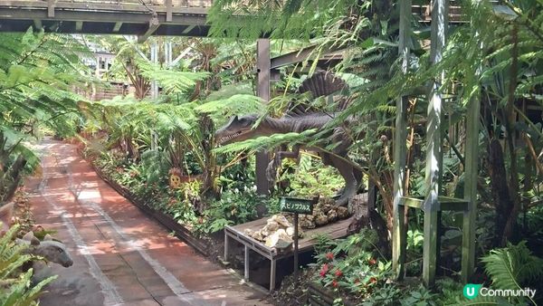 Day 3【沖繩7天自駕遊】名護鳳梨園、部賴名海中公園、萬座毛