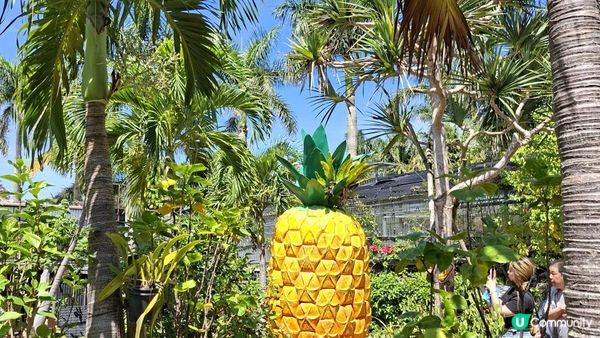 Day 3【沖繩7天自駕遊】名護鳳梨園、部賴名海中公園、萬座毛