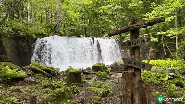 講起日本，未必好多人認識「青森」呢個地方，再提起青森，除左為...