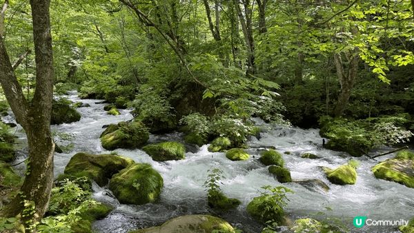講起日本，未必好多人認識「青森」呢個地方，再提起青森，除左為...