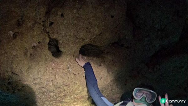 Day 4【沖繩7天自駕遊】青之洞窟🤿浮潛體驗，MegaZip滑索臨場取消😭