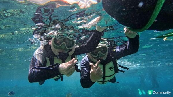Day 4【沖繩7天自駕遊】青之洞窟🤿浮潛體驗，MegaZip滑索臨場取消😭