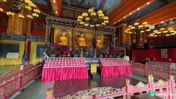 天壇大佛一日遊！⛰️ 寶蓮寺素食😋