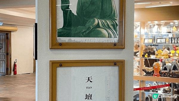 天壇大佛一日遊！⛰️ 寶蓮寺素食😋