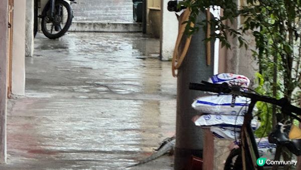 檳城 - Day 1 之 全程投入吃喝mode