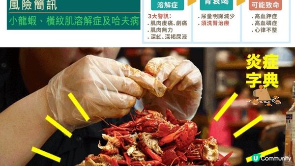 【#宵夜頂流】肉厚薄殼🦞嬌豔誘人