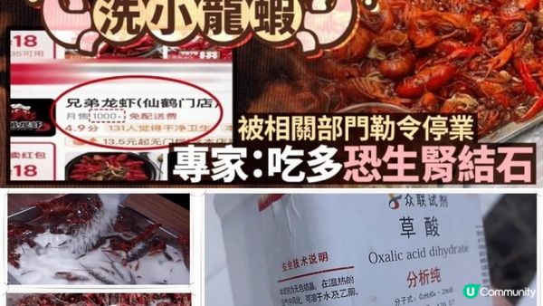 【#宵夜頂流】肉厚薄殼🦞嬌豔誘人