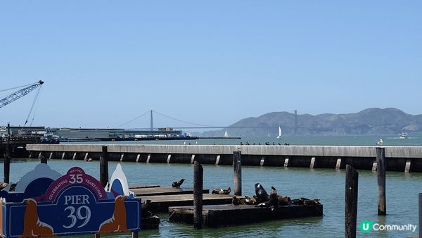 去得舊金山 一定唔會錯過pier 39 