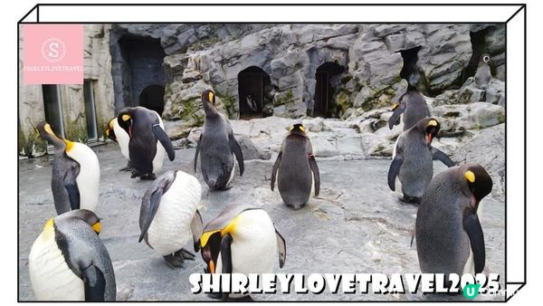 【日系情旅遊日本】適合北海道親子遊！可愛動物主題酒店「OMO7 旭川」住宿體驗