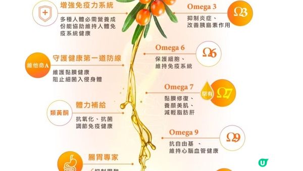 【#海賊王】媲美最強果實🍊沙棘