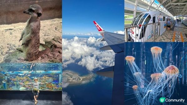 Day 7【沖繩7天自駕遊】單軌列車遊🚝，DMM Kariyushi水族館