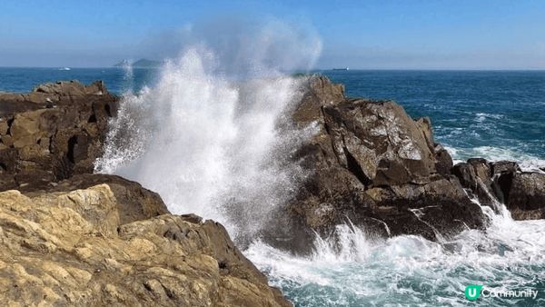我會推介位於西貢區最南端的島嶼東龍島，島上面有多個著名景點，...