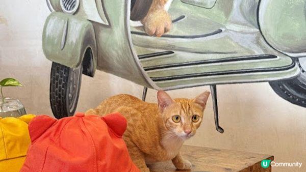 檳城 - Day 4 之 尋璧畫(海量圖) + 姓周橋