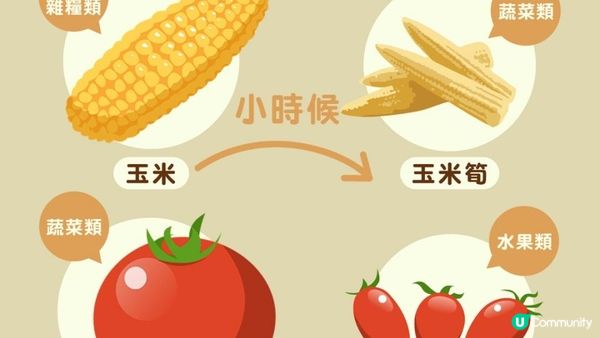 #瘦身神器 🌽減肥必食！玉米筍