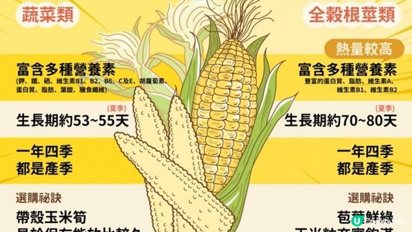 #瘦身神器 🌽減肥必食！玉米筍
