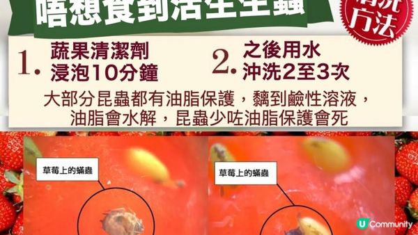 即摘即食 #士多啤梨？小心變蟲蟲放題🐛