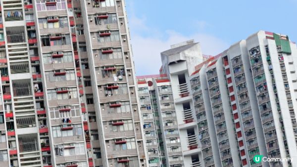 【裝修佬文章轉載】公屋裝修2025全攻略：邊啲位唔准改動？申請流程係點？公屋裝修津貼最新修訂 一文睇晒