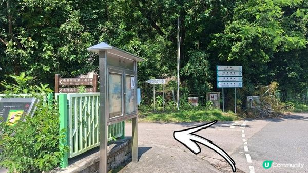 夏季石澗玩水系列💦【南涌屏嘉石澗💦壺穴石板潭】