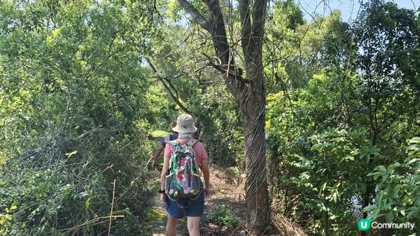 夏季石澗玩水系列💦【南涌屏嘉石澗💦壺穴石板潭】