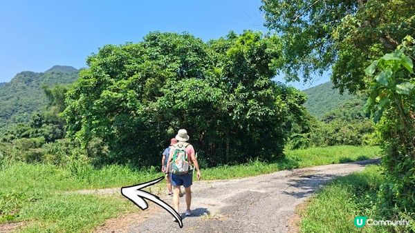 夏季石澗玩水系列💦【南涌屏嘉石澗💦壺穴石板潭】