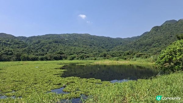 夏季石澗玩水系列💦【南涌屏嘉石澗💦壺穴石板潭】