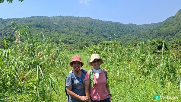 夏季石澗玩水系列💦【南涌屏嘉石澗💦壺穴石板潭】