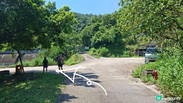 夏季石澗玩水系列💦【南涌屏嘉石澗💦壺穴石板潭】