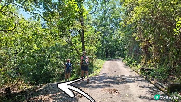 夏季石澗玩水系列💦【南涌屏嘉石澗💦壺穴石板潭】