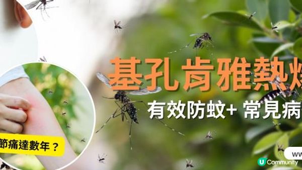 認識基孔肯雅熱症狀、與登革熱差異和防蚊措施