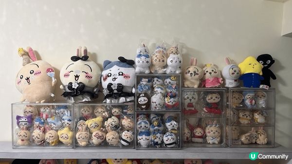 睇片喜歡兔兔個種活潑，勇敢，搞鬼！令我開心左好多，生活充滿動...