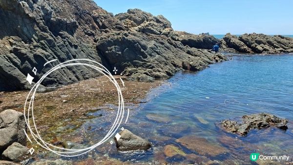 夏季玩水系列💦【西貢黃茅洲浮潛💦🤿🎽】