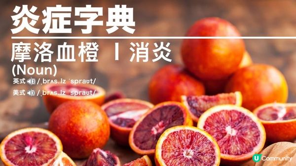 【#懶人減肥 必吃】甩肉燃脂🔥打造輕盈窈窕