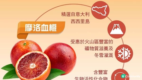 【#懶人減肥 必吃】甩肉燃脂🔥打造輕盈窈窕