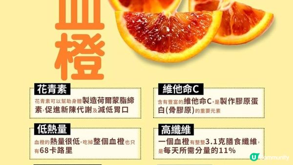 【#懶人減肥 必吃】甩肉燃脂🔥打造輕盈窈窕