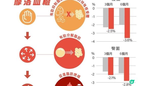 【#懶人減肥 必吃】甩肉燃脂🔥打造輕盈窈窕