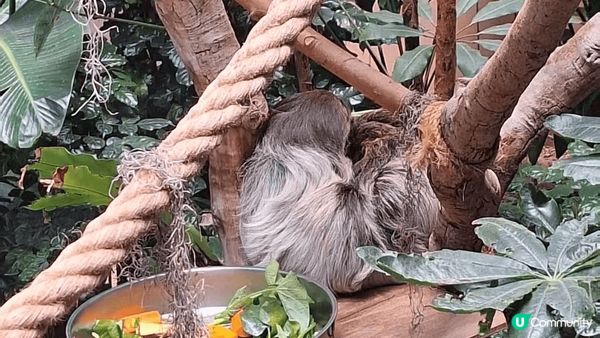 #敏感肌防曬攻略