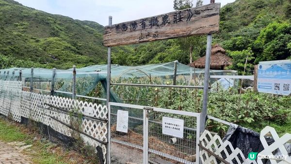 【消暑行山篇】西貢四疊潭、夾萬坑、豬肚潭、千絲瀑