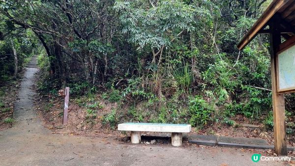 【消暑行山篇】西貢四疊潭、夾萬坑、豬肚潭、千絲瀑