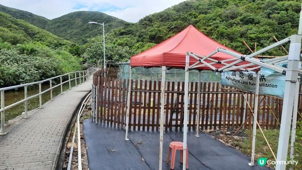 【消暑行山篇】西貢四疊潭、夾萬坑、豬肚潭、千絲瀑