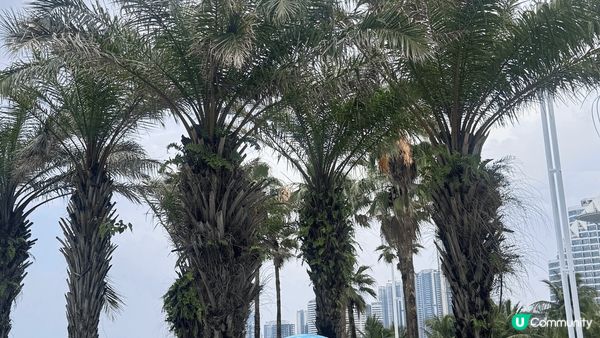 ✨✨湛江金沙灣海濱長廊✨✨